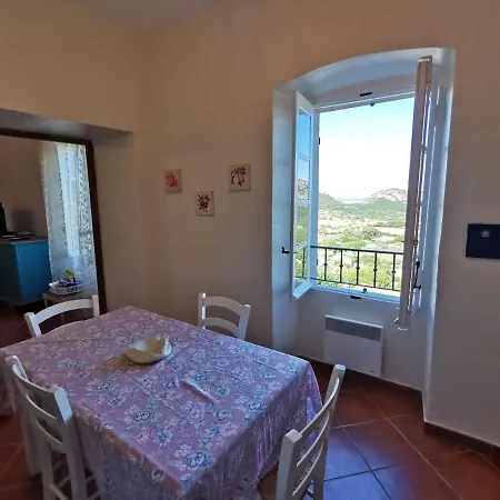 Apartment Palazzo