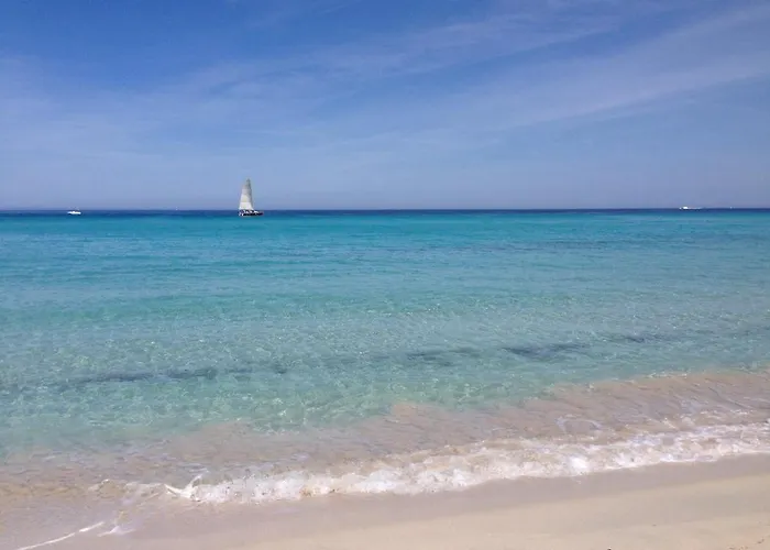 公寓 Palazzo 帕特里莫尼奥